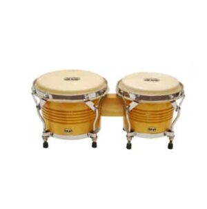 ABC Latino-Bongo professional