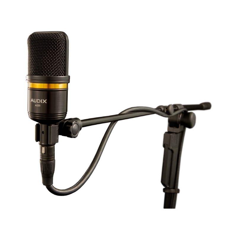 Audix_A231_2