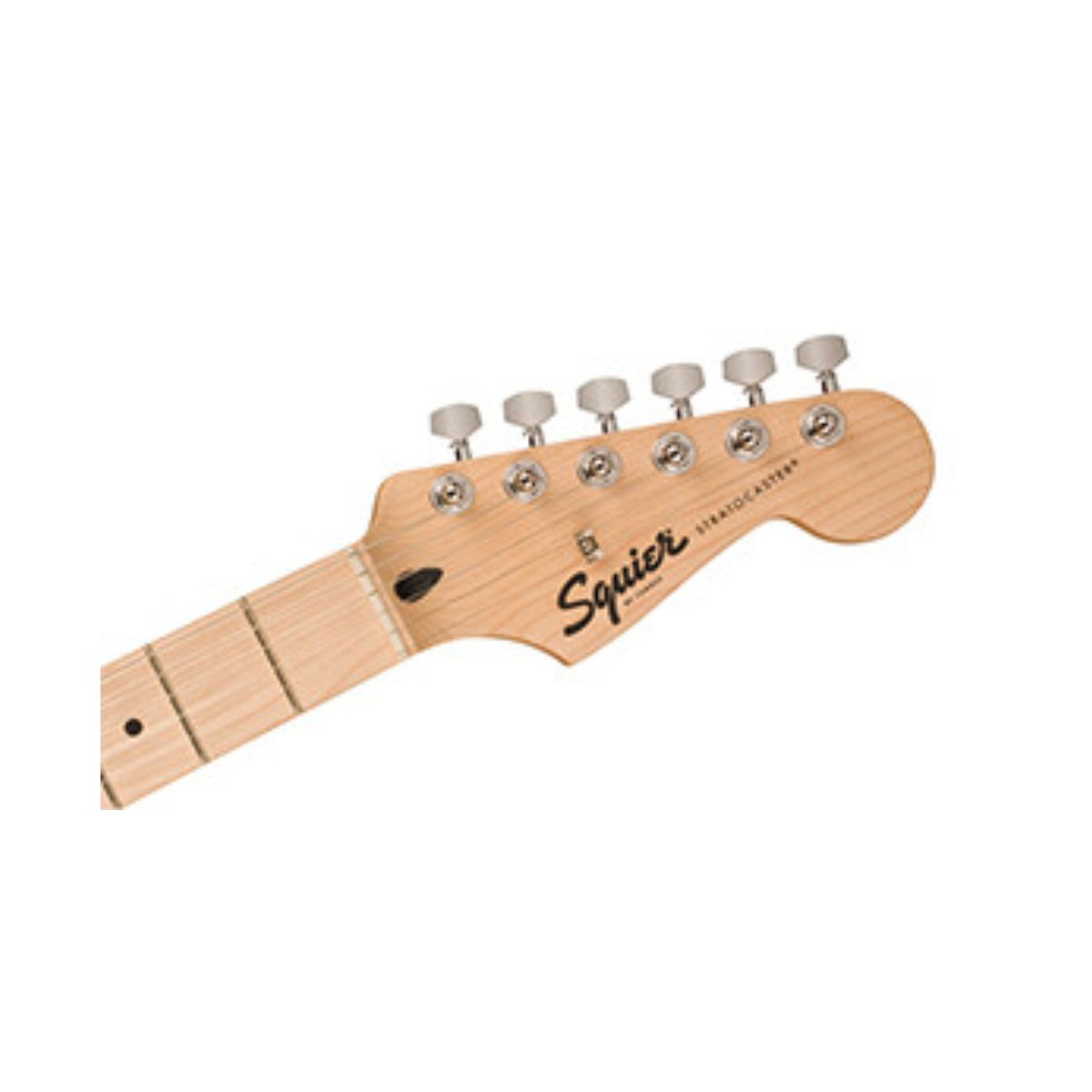 squier hss-1